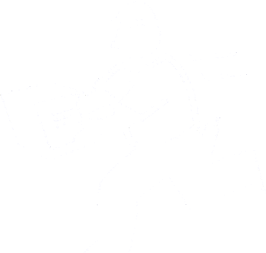 Where Is My Package? logo